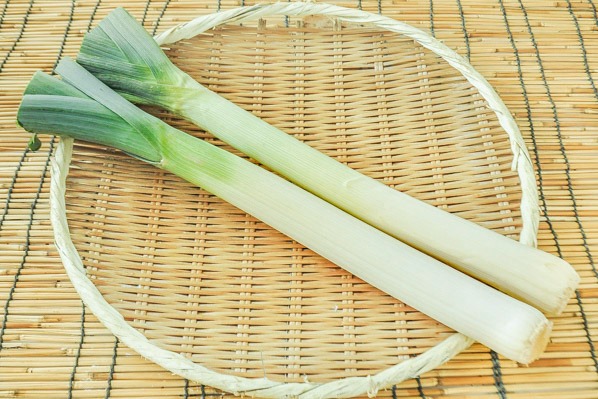 リーキ 約10キロ 【公式通販】