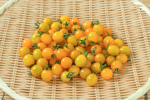 ミニトマト（イエロー）（2S）500gr
