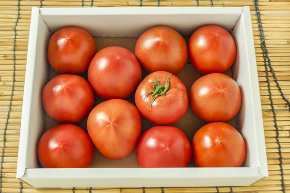 佐野フルーツトマト（M）1kg箱