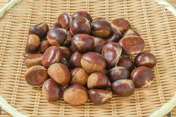 利平栗 【業務用食材の仕入れなら八面六臂】