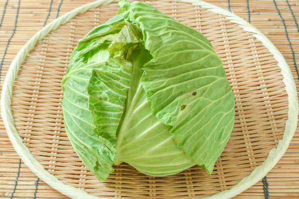 ふゆみつキャベツ（8玉サイズ）