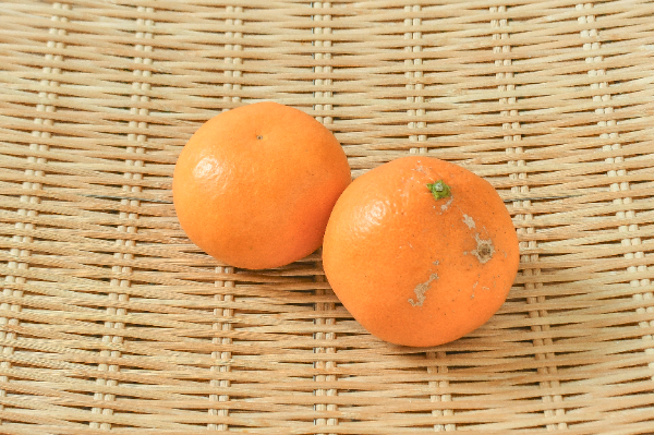 はれひめ（L）（秀）