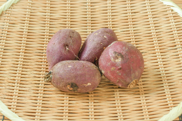 シルクスイート（丸S）500gr