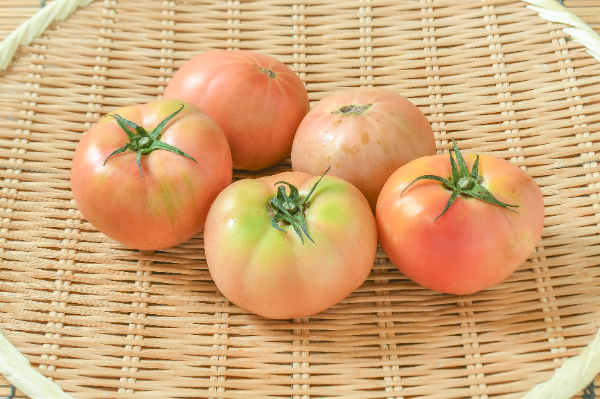 大玉トマト（CL）1kg