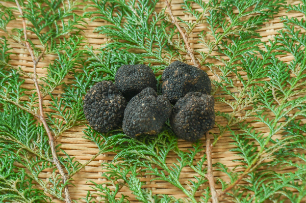 オータムトリュフ　100gr