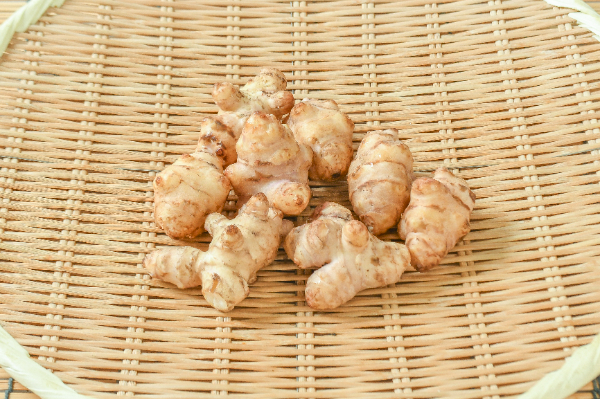 菊芋（M） 【業務用食材の仕入れなら八面六臂】