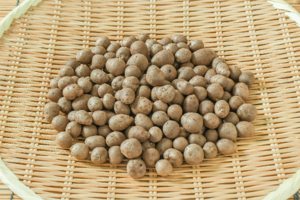 むかご（L）