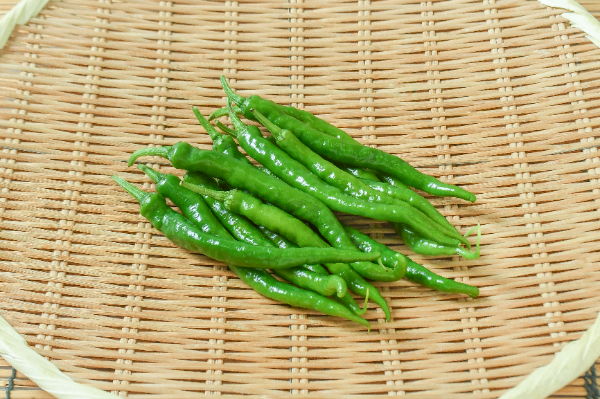 伏見とうがらし