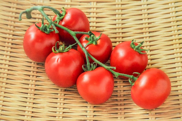 房付き中玉トマト
