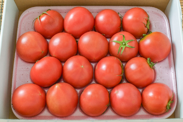 中玉トマト（甘熟大王）（18玉サイズ）箱1kg