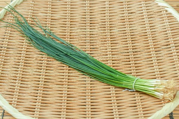 福ねぎ（ふぐねぎ）30gr