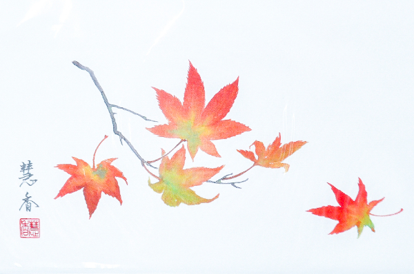 華シリーズテーブルマット（紅葉） (2)