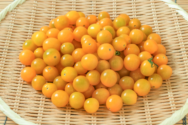 ミニトマト（イエロー）（BM）1kg