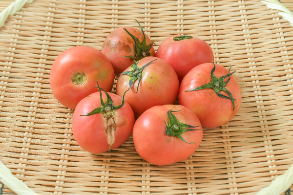 大玉トマト（CS）1kg