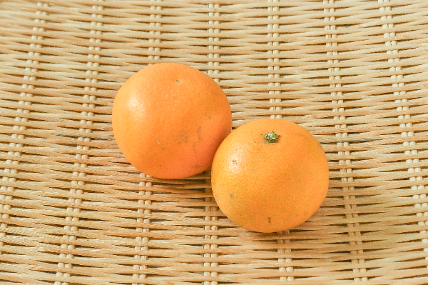 清見オレンジ（M）