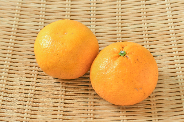 紅甘夏（M） 【業務用食材の仕入れなら八面六臂】