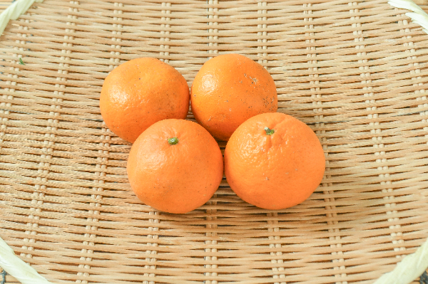 はれひめ（M）（秀）