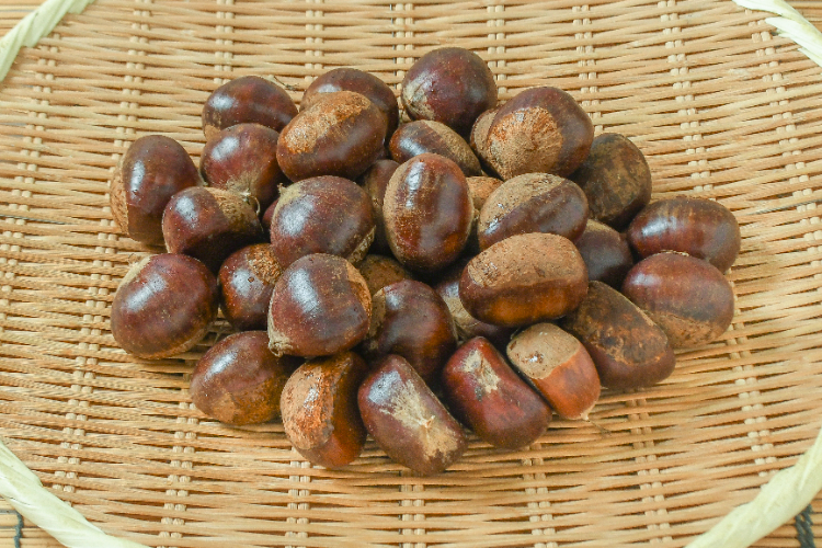 ROSE様　栗　3キロ 栗（3Lサイズ） 【業務用食材の仕入れなら八面六臂】