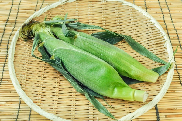 とうもろこし（恵味）