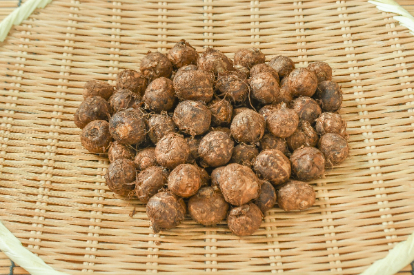 石川小芋（2S）500gr