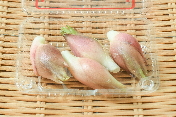 茗荷（特B）50gr