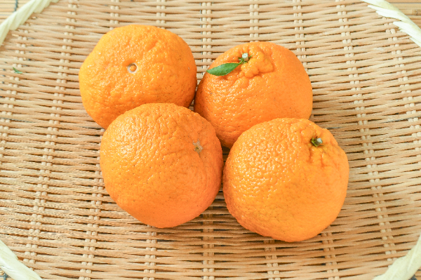 でこぽん　※でこぽん様以外 購入不可 楽天市場】木熟 デコポン 301 (約2kg) 和歌山産 秀品 デコポン