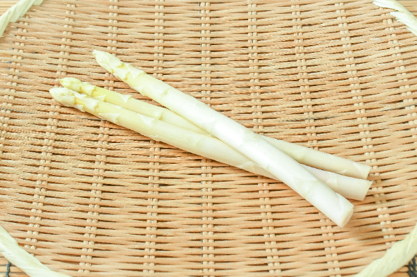 ホワイトアスパラ（L） 【業務用食材の仕入れなら八面六臂】