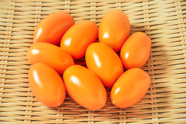 イタリアントマト（オレンジ）（湘南ポモロン）500gr