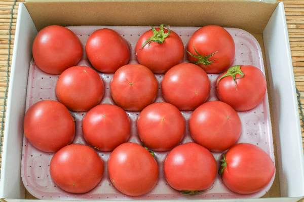 中玉トマト（甘熟大玉）（16玉サイズ）箱1kg