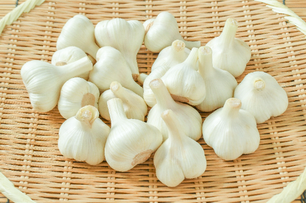 新にんにく（AM）1kg