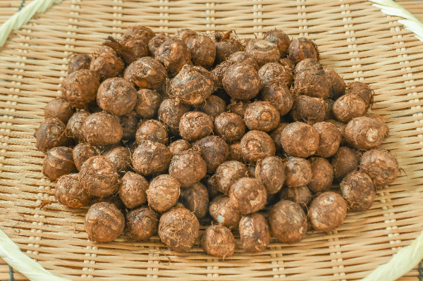 石川小芋（2S）1kg
