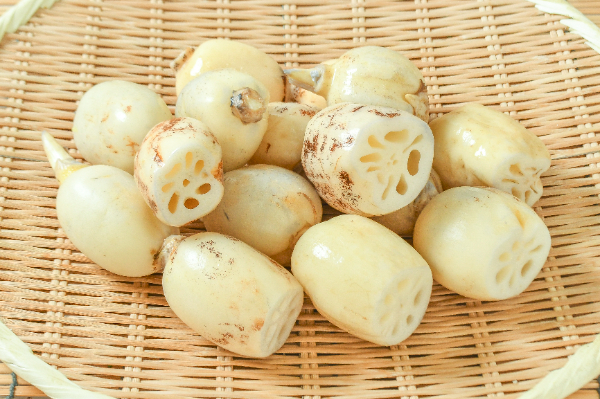 れんこん（3S）1kg