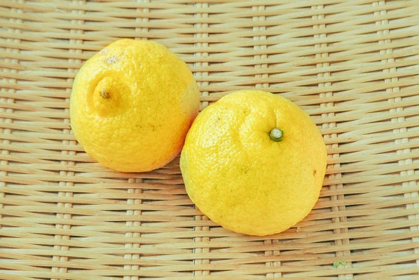 はるか 【業務用食材の仕入れなら八面六臂】