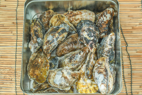 ガンガン焼き（殻付きカキ）