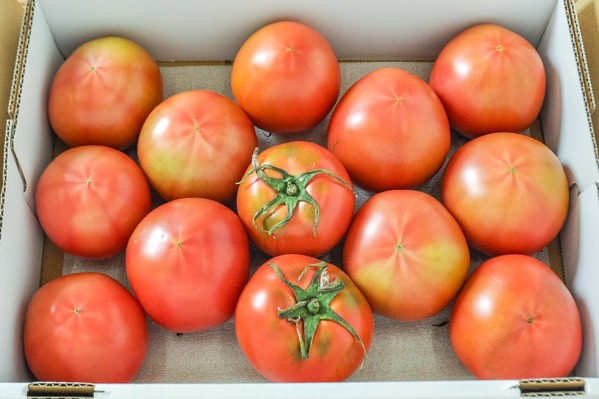 大玉トマト（L）（13-15玉サイズ）（秀）箱2kg