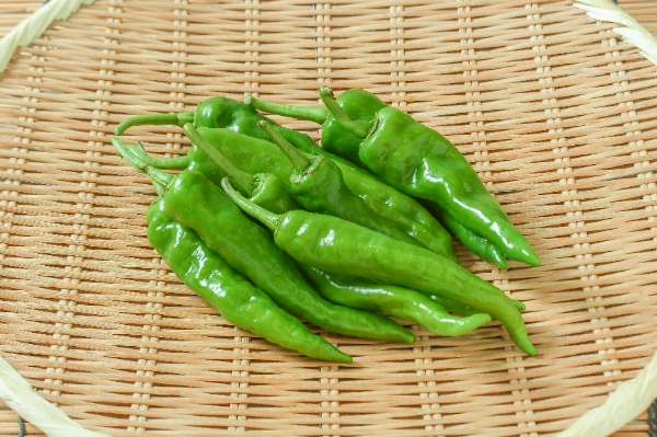 万願寺とうがらし　200gr