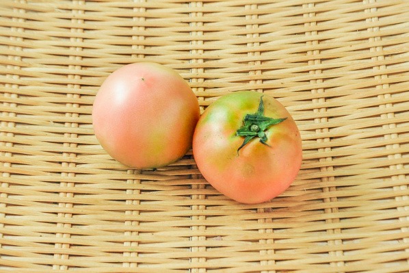 大玉トマト（AS）（28玉サイズ）