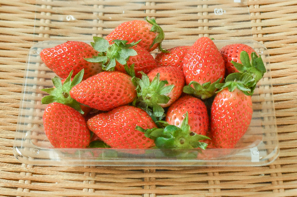 やよいひめ（B）