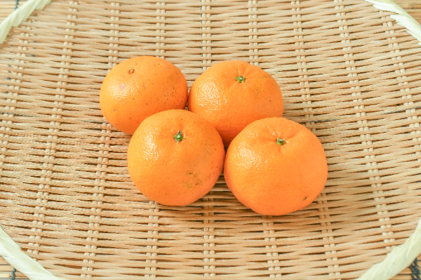 西南のひかり（M）（秀） 【業務用食材の仕入れなら八面六臂】