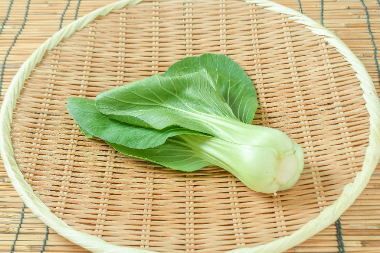 油麦菜（A菜） 【業務用食材の仕入れなら八面六臂】