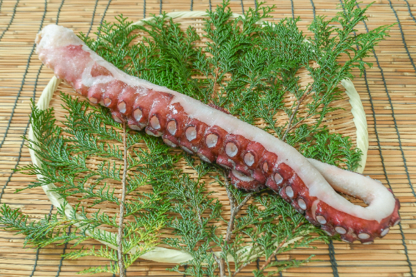 サーモン半身 タコ足２ｋ み 水タコ（北海ダコ） 【業務用食材の仕入れなら八面六臂】
