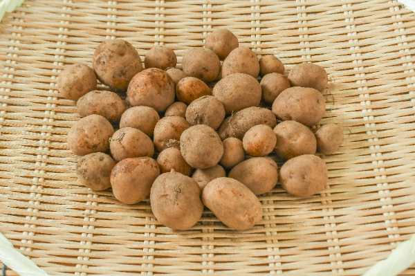 インカのめざめ　2 インカのめざめ（2S） 【業務用食材の仕入れなら八面六臂】