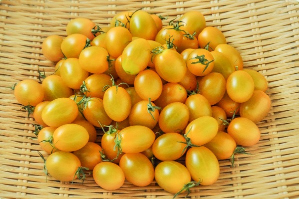 アイコトマト（黄色）