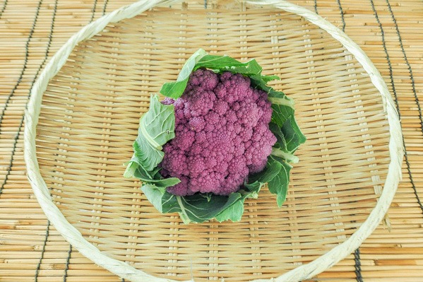 紫カリフラワー（11玉サイズ）　