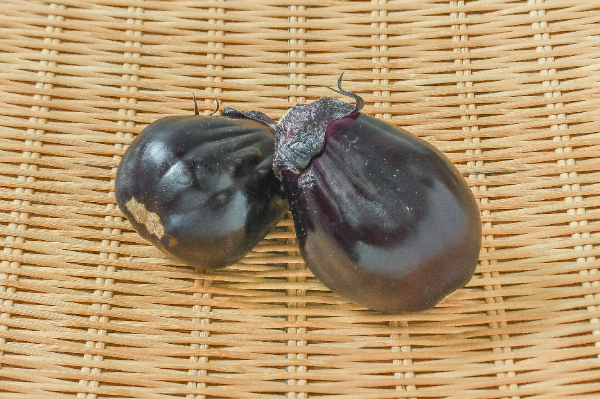 十全なす（L）