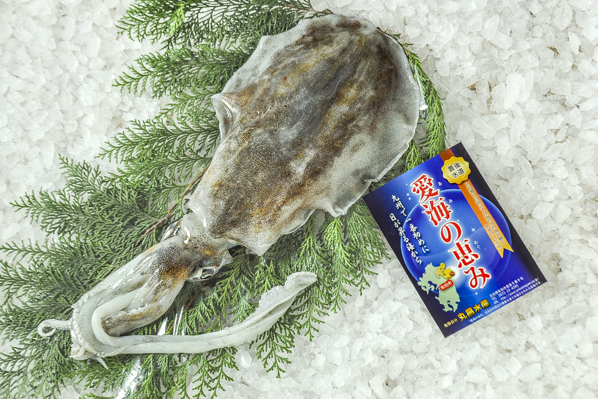 活〆アオリイカ 八面六臂