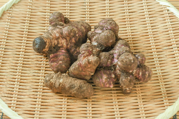 菊芋　700gr