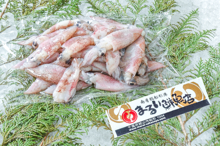 まるい鮮魚店　ダルマイカ（ケンサキイカ）1kg（千葉県館山市船形産）