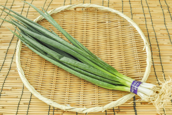 小ねぎ（M） 【八面六臂】