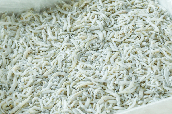 釜揚げしらす